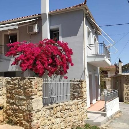 Artemis House Apartment Krokees Bagian luar foto